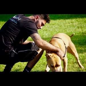 Meet your Posher, Jason